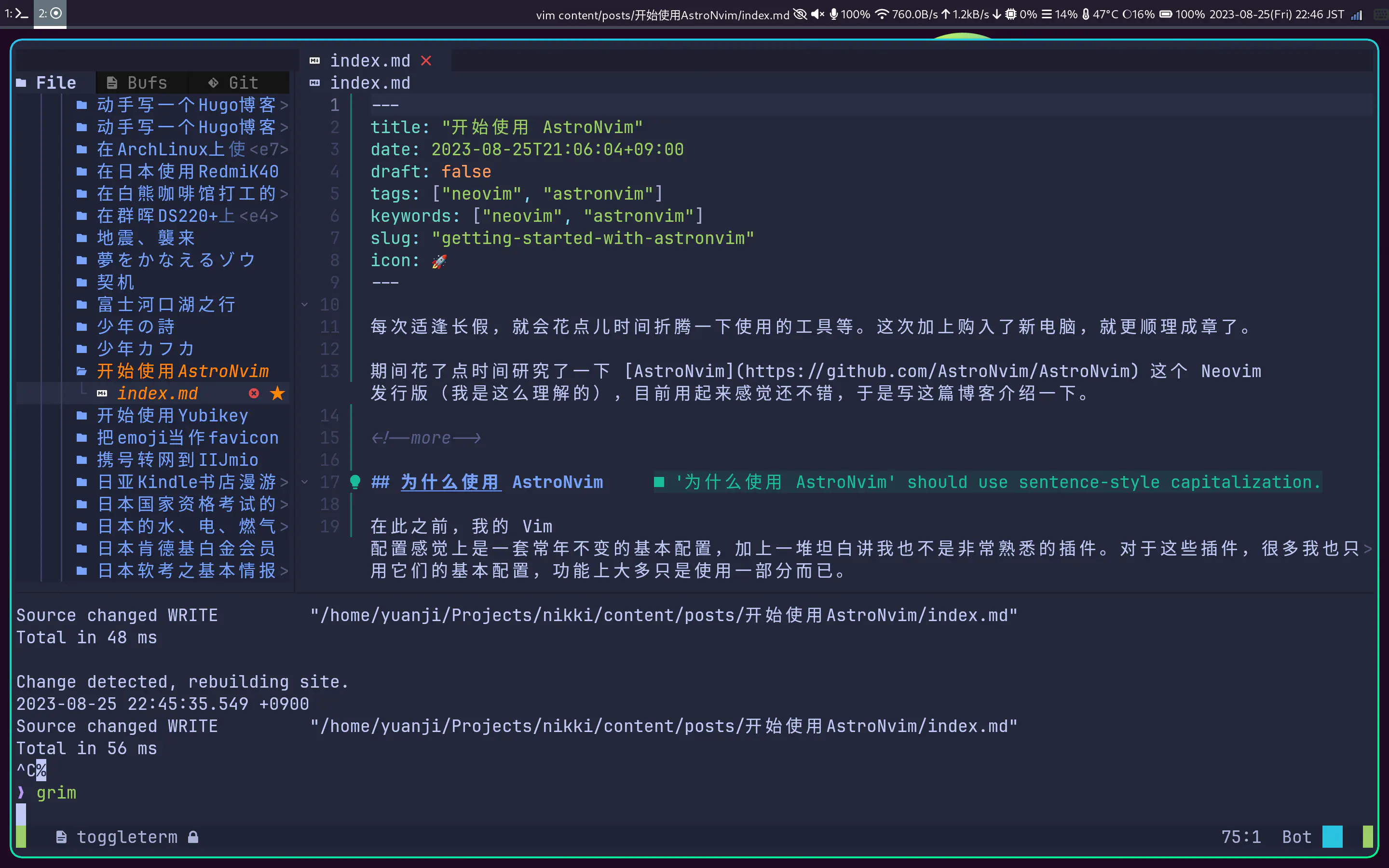 用 AstroNvim 写博客